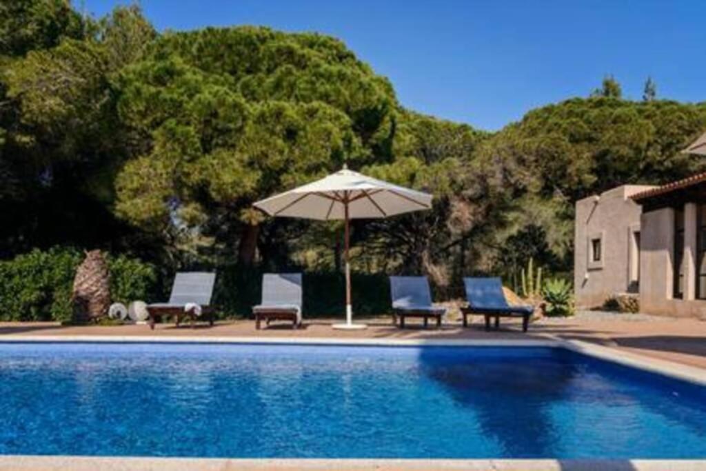 Olivo - 6 Pax En Ibiza Vil·la